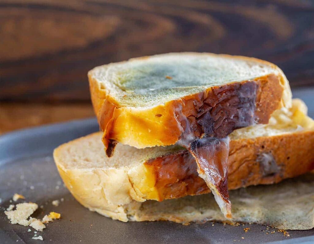 Quand et comment utiliser votre pain de mie périmé ?