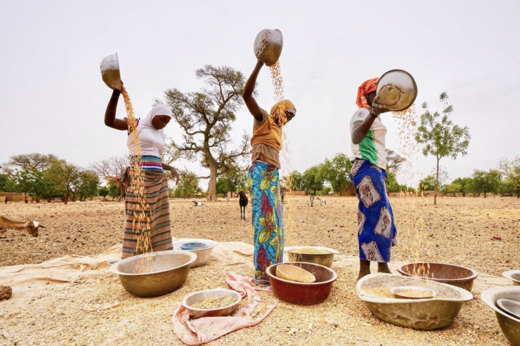 Impactés durement par la COVID-19 et le changement climatique, 45 pays dont le Sénégal ont besoin d’aide alimentaire d’urgence selon la FAO