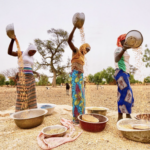 Impactés durement par la COVID-19 et le changement climatique, 45 pays dont le Sénégal ont besoin d’aide alimentaire d’urgence selon la FAO